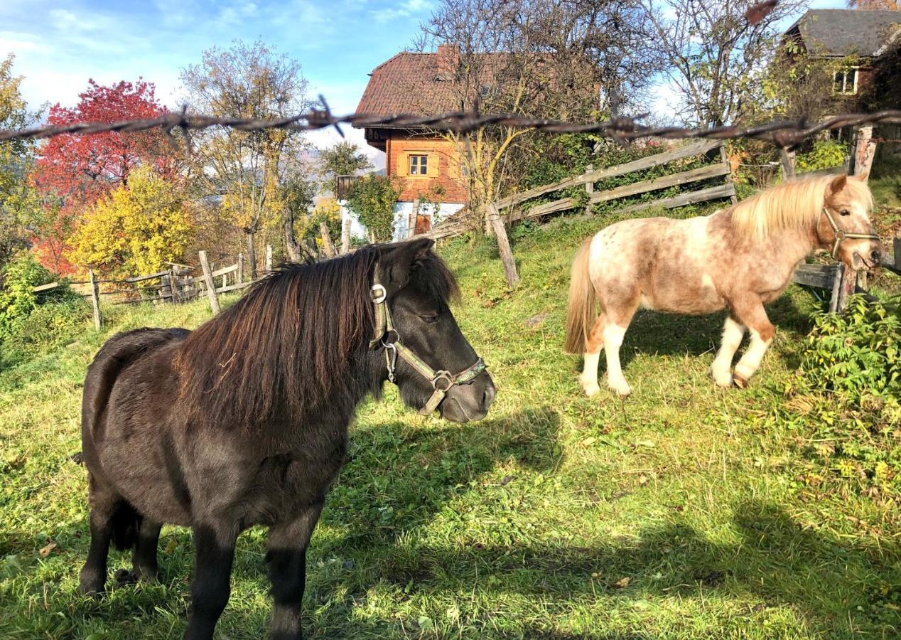 Feielhof Krakaudorf Exterior foto